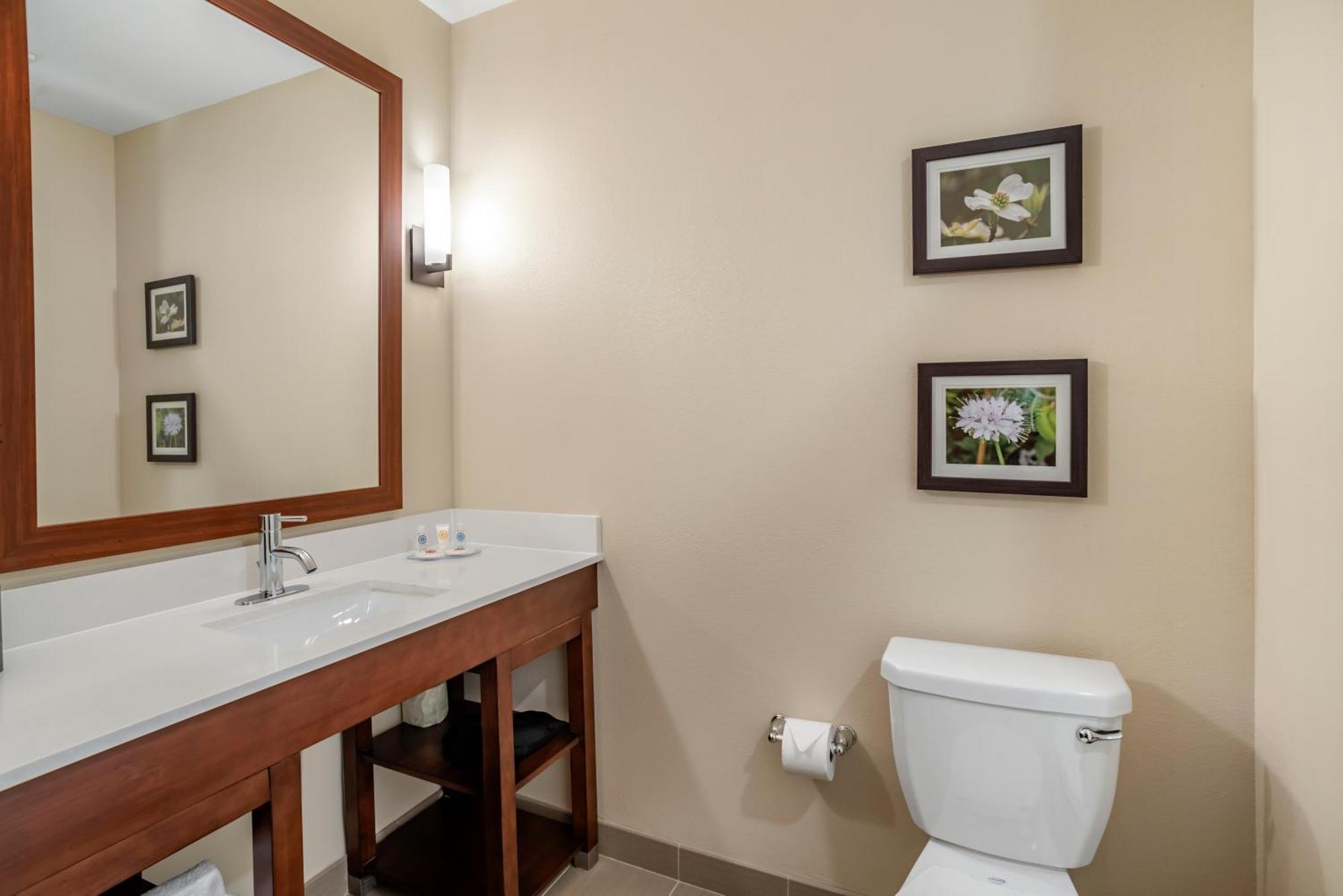 Comfort Inn & Suites Уинчестър Стая снимка